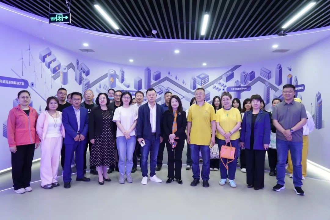 ���Ƶ羺(�й�)���Ӿ���